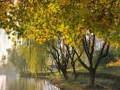 -杭州城北体育公园