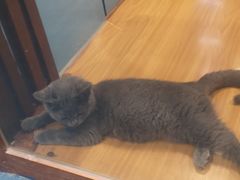 -龟与熊猫宠物公园(南坪店)
