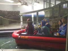 -悉尼海洋生物水族馆