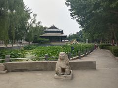 -保定市动物园
