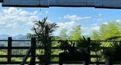 -专注孕妇照亲子照·纪田摄影