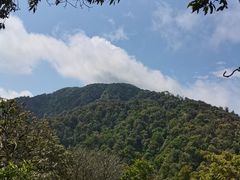 -云南屏边大围山国家公园