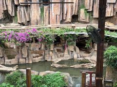 -长鹿旅游休博园