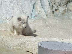 -珠海长隆海洋王国
