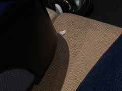 -星河寰宇IMAX影城(星河WORLD·COCO Park店)