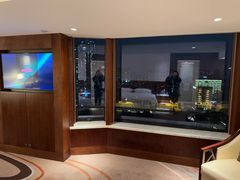 -广州白天鹅宾馆