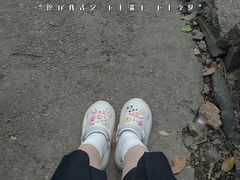 -惠山国家森林公园