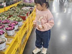 -万达广场(沈阳铁西店)