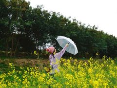 -光明小镇欢乐田园