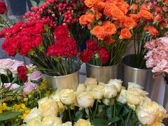 -怡花宜木鲜花店(朝阳路店)