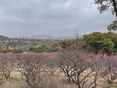 -无锡梅园公园