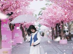 -东莞松山湖万象汇