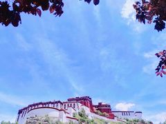 -宗角禄康公园