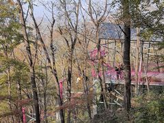 -帽儿山风景区