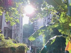 -石井坡(地铁站)