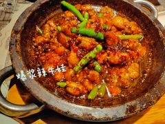 -绿茶餐厅(朝阳大悦城店)
