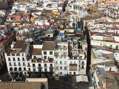 -瓦伦西亚大教堂