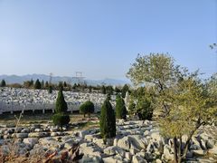 -原山国家森林公园