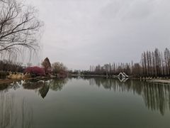 -桃花岛公园