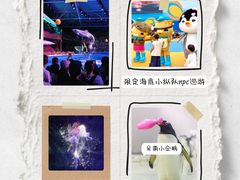 -大连圣亚海洋世界