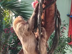 -正佳雨林生态植物园