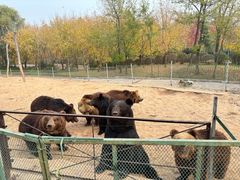 -秦皇岛野生动物园