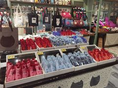 -猫咪博物馆(顶澳仔猫街店)
