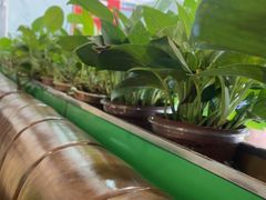 -德顺斋爆肚涮肉馆·烧烤·羊蝎子·清真炒菜(马驹桥店)