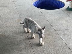 -秦皇岛野生动物园