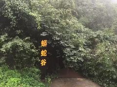 -梦幻奥陶纪景区