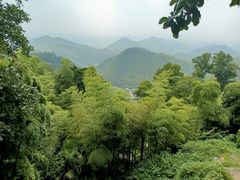 -莫干山风景区
