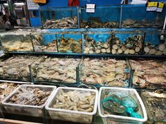 -岳各庄批发市场(西四环中路店)