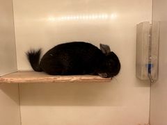 -龙猫仔乐园(惠福东路店)