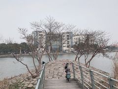 -美兰湖景区