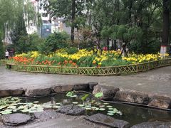 -文瀛公园