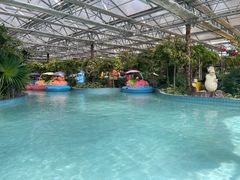 -南宫五洲植物乐园