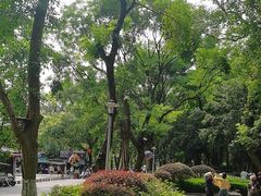 -东西巷
