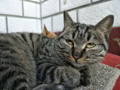 -瑞尔齿科(天津国际大厦诊所)