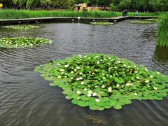 -前关湿地公园