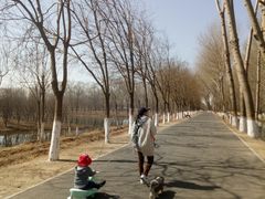 -东郊湿地公园
