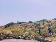 -四明山国家森林公园