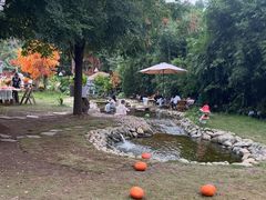 -HERRE·FARM 赫尔露营农场·团建聚会包场