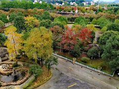 -三江森林温泉度假区