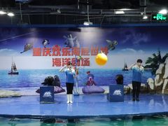-重庆欢乐海底世界