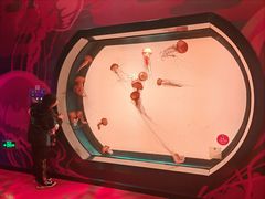 -沈阳海洋探索中心