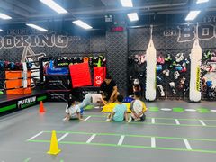 -拳力汇散打搏击泰拳俱乐部(绿地缤纷城店)