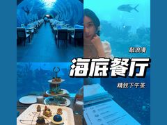 -海棠湾洲际-涛·海底餐厅·美人鱼·自助餐·海底隧道