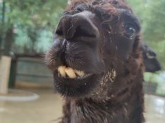 -杭州野生动物世界