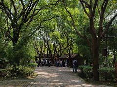 -同里国家湿地公园