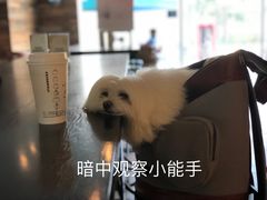 -星巴克(万都店)